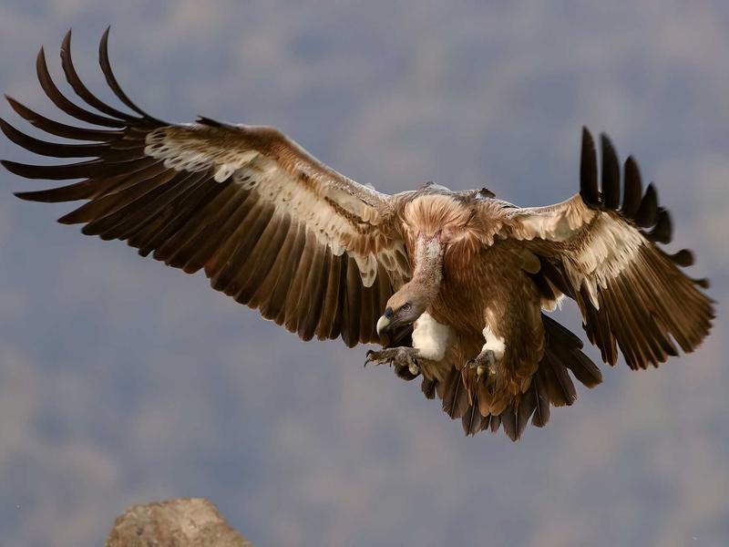 宋词婉约派<br>yxepqio.cn 杨柳岸晓风残月